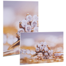 fineartprint-foto-direktdruck-auf-forex-freie-formate-guenstig-drucken - Warengruppen Icon