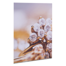 fineartprint-foto-direktdruck-auf-forex-guenstig-drucken - Warengruppen Icon