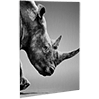 fineartprint-foto-direktdruck-alu-dibond-silber-guenstig-drucken - Warengruppen Icon