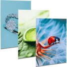 fineartprint-acryl-gallery-bond-guenstig-drucken - Warengruppen Icon