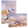 fineartprint-foto-direktdruck-auf-forex-freie-formate-guenstig-drucken - Warengruppen Icon