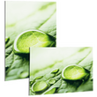 fineartprint-foto-direktdruck-hinter-acrylglas-freie-formate-guenstig-drucken - Warengruppen Icon
