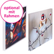 foto-leinwand-quadrat-extrem-guenstig-drucken - Warengruppen Icon