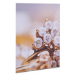 fineartprint-foto-direktdruck-auf-forex-guenstig-drucken - Warengruppen Icon