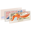 postkarten-148x74-quer-softfeelfolienkaschierung-guenstig-drucken - Warengruppen Icon