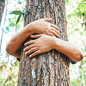 FSC® Zertifizierung FSC® Zertifizierung