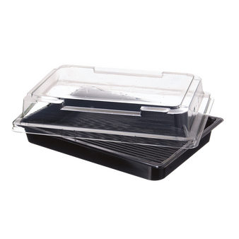 Sushibox, offen