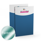 visitenkarten-hoch-55-farbig-50-x-90-mm-mit-einseitigem-vollflaechigem-uvlack-beidseitig-bedruckt-cmyk-4farbig-1-pantonesonderfarbe