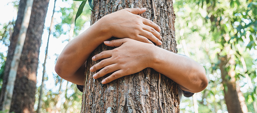 FSC, Arme umschließen einen Baum in der Natur