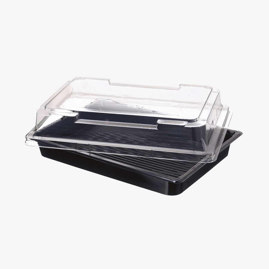 Sushibox schwarz mit transparentem Deckel, 25,5 x 18,5 x 5 cm, unbedruckt