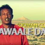 Cawaale dayr songs